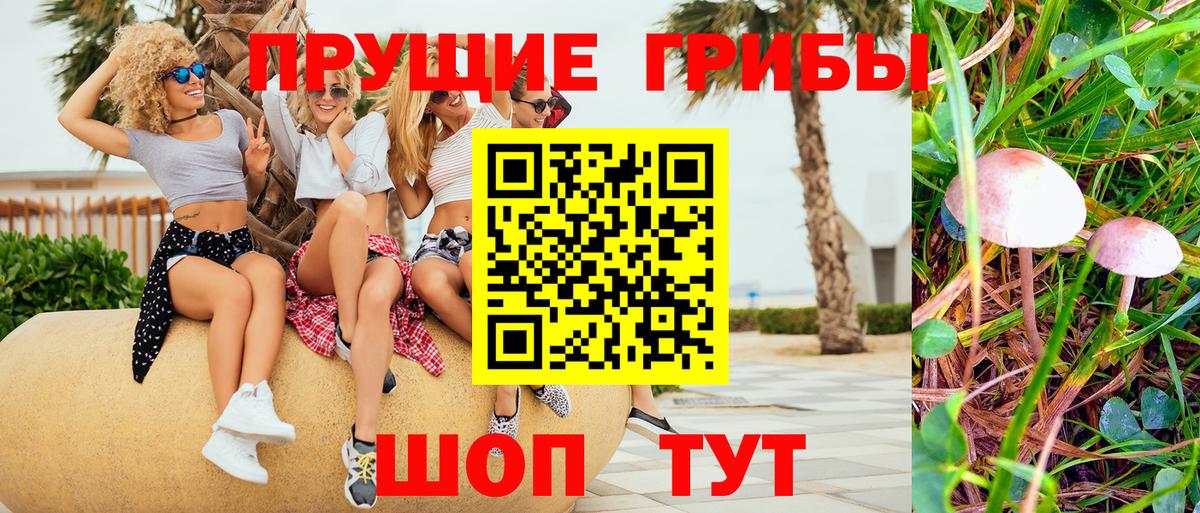 Псилоцибиновые грибы MAGIC MUSHROOMS  Вход с VPN  Галлюциногенные грибы Psilocybine cubensis  Кызыл 